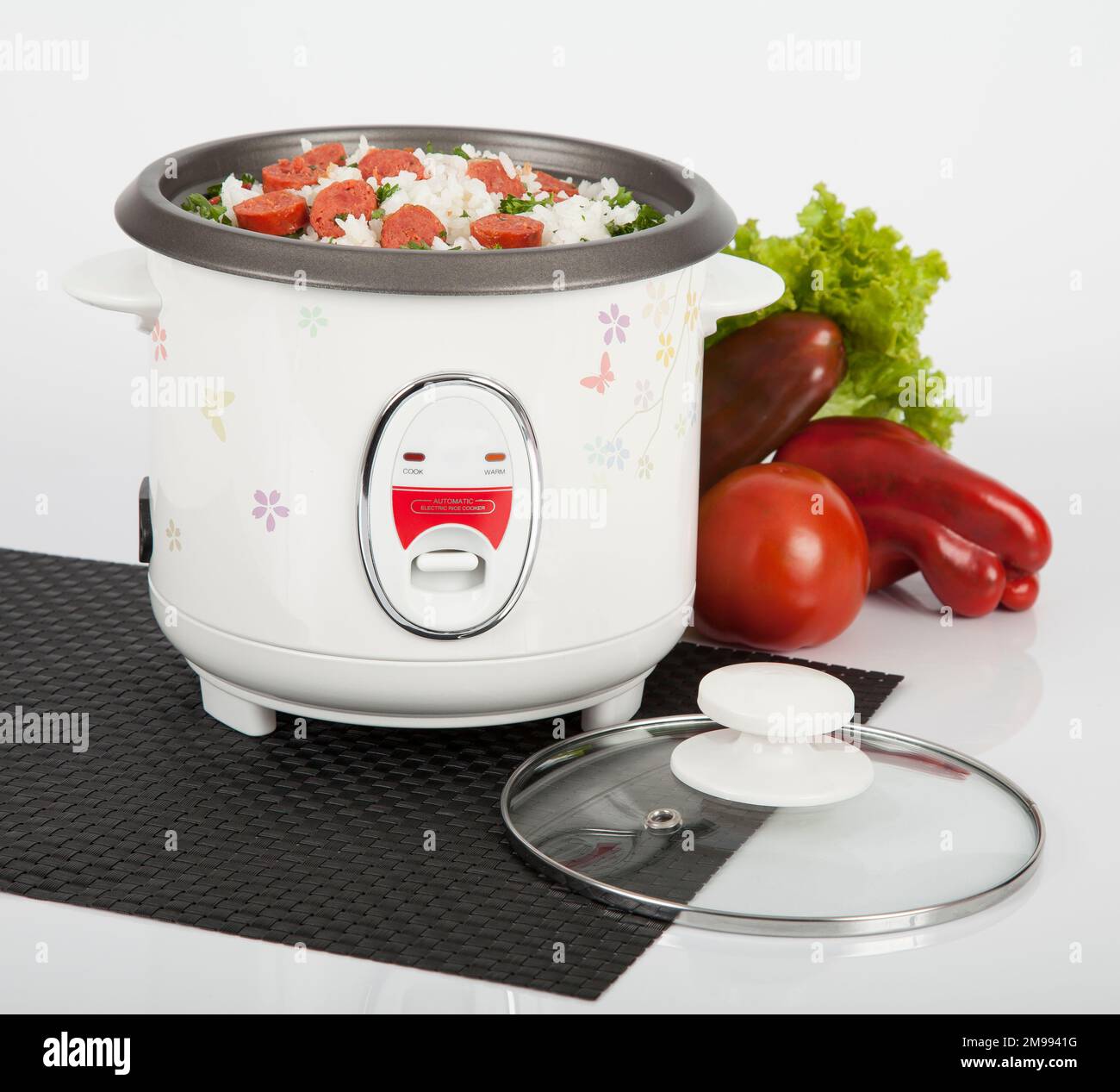 https://c8.alamy.com/comp/2M9941G/kitchen-equipment-automatic-rice-cooker-white-2M9941G.jpg