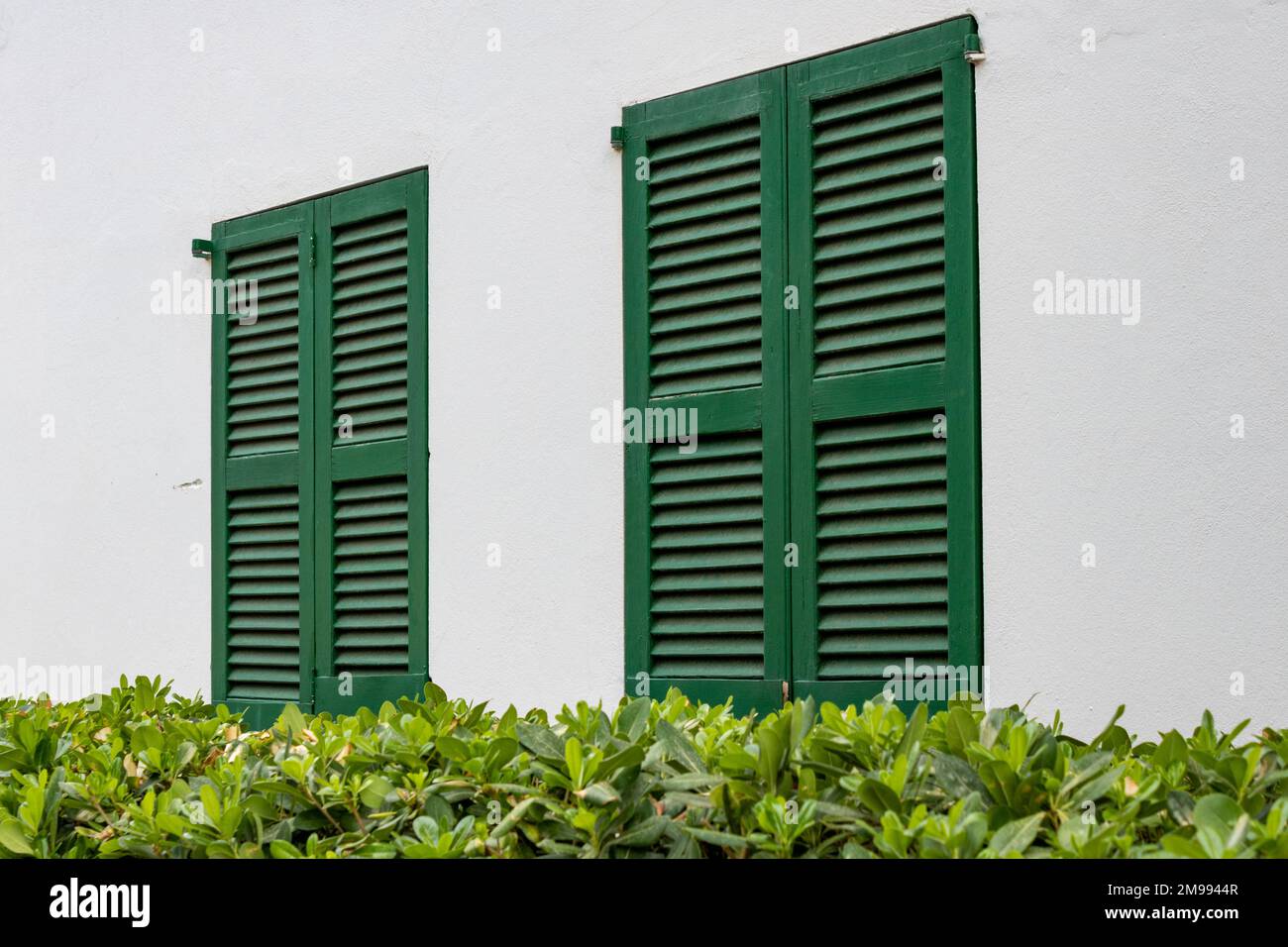 Windows with green shutters and plants on a white house wall in Mallorca, Spain Stock Photo
