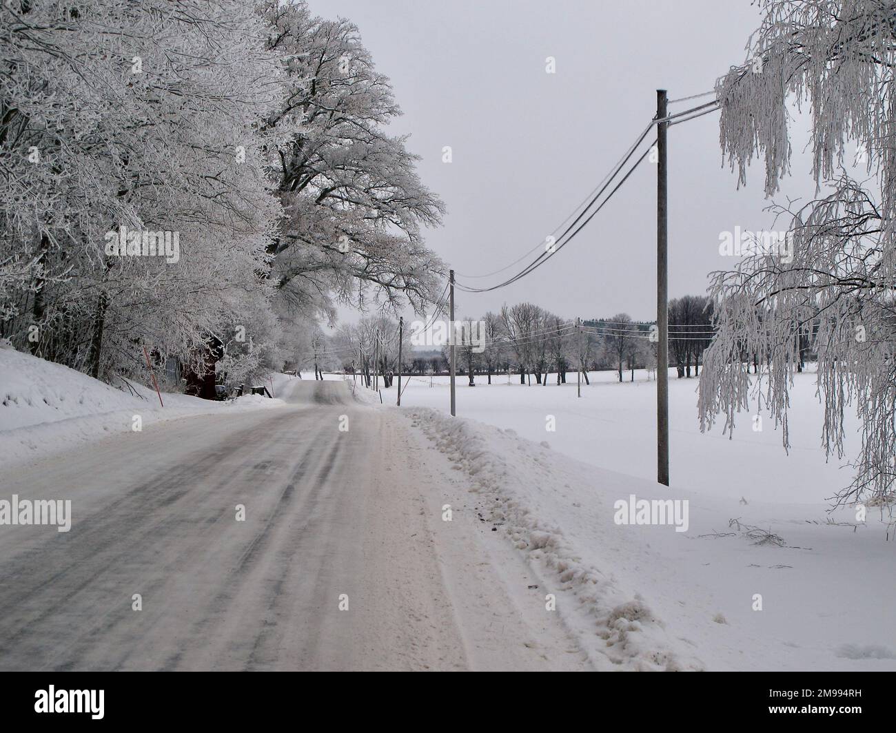 Plowed country road in a cold swedish winter landscape with snow on the