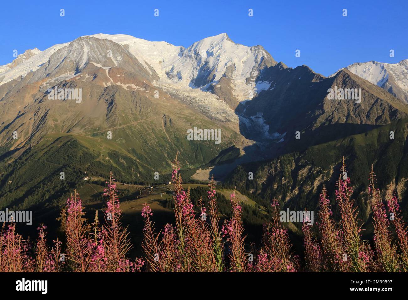 Mont Blanc. 4 808,73 m. Bionnassay glacier. Saint-Gervais-les-Bains. Haute-Savoie. Auvergne-Rhône-Alpes. France. Europe. Stock Photo