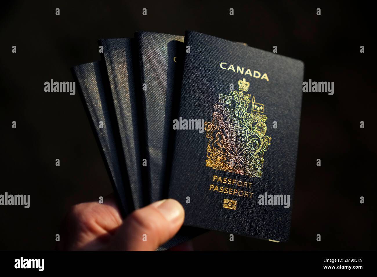 A Canadian passport is pictured in Ottawa on Tuesday, Jan. 17, 2023