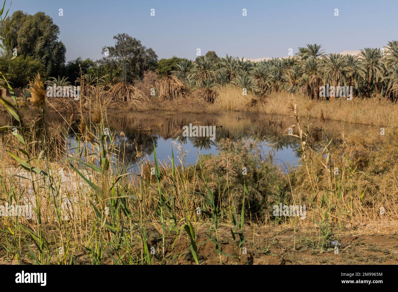 Small lake nature oasis in hi res stock photography and images Alamy