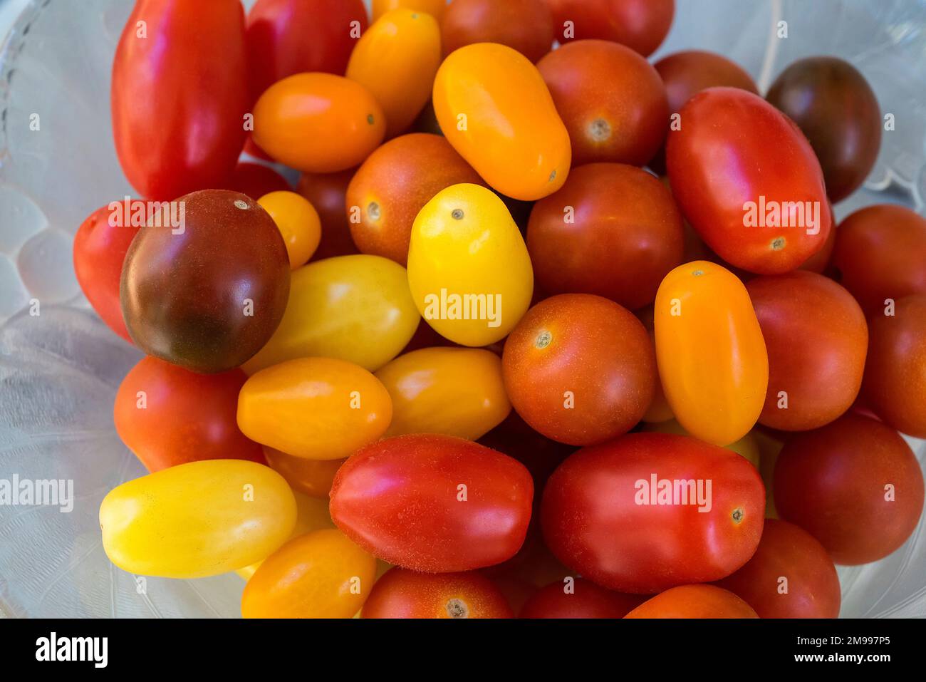 Small Rainbow-colored cherry tomatoes. Stock Photo