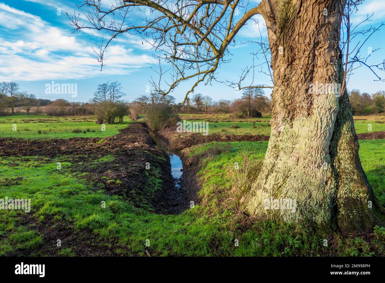 Drainage Ditch in field Stock Photo