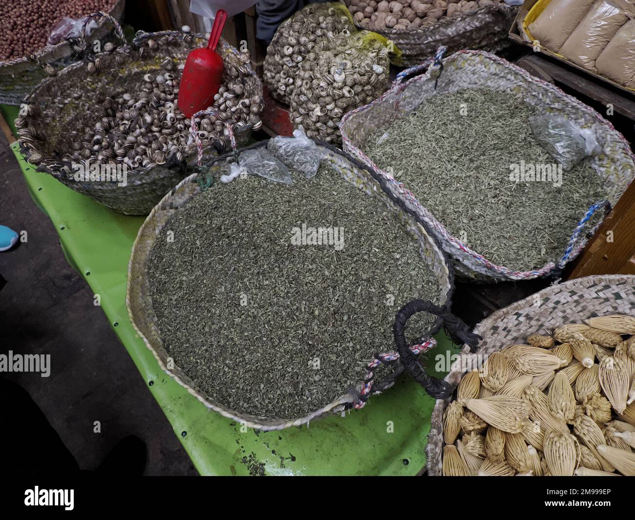 Berber toothpicks the dried heads of fennel flowers (Ammi visnaga
