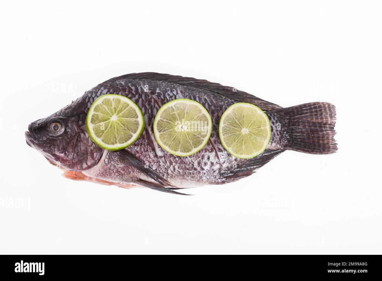 Fish, Platy mojarra, Nilotic tilapia, Chitralada tilapia on white background Stock Photo Alamy