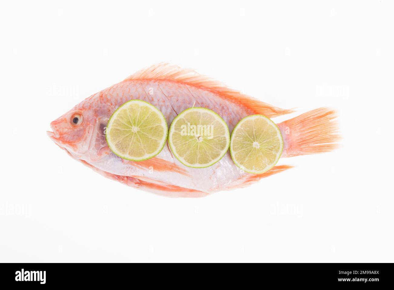 fish, red mojarra or red tilapia on white background Stock Photo Alamy