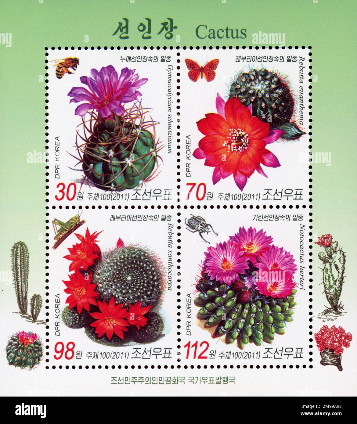 2011 North Korea stamp set. Flora - Cactus Stock Photo
