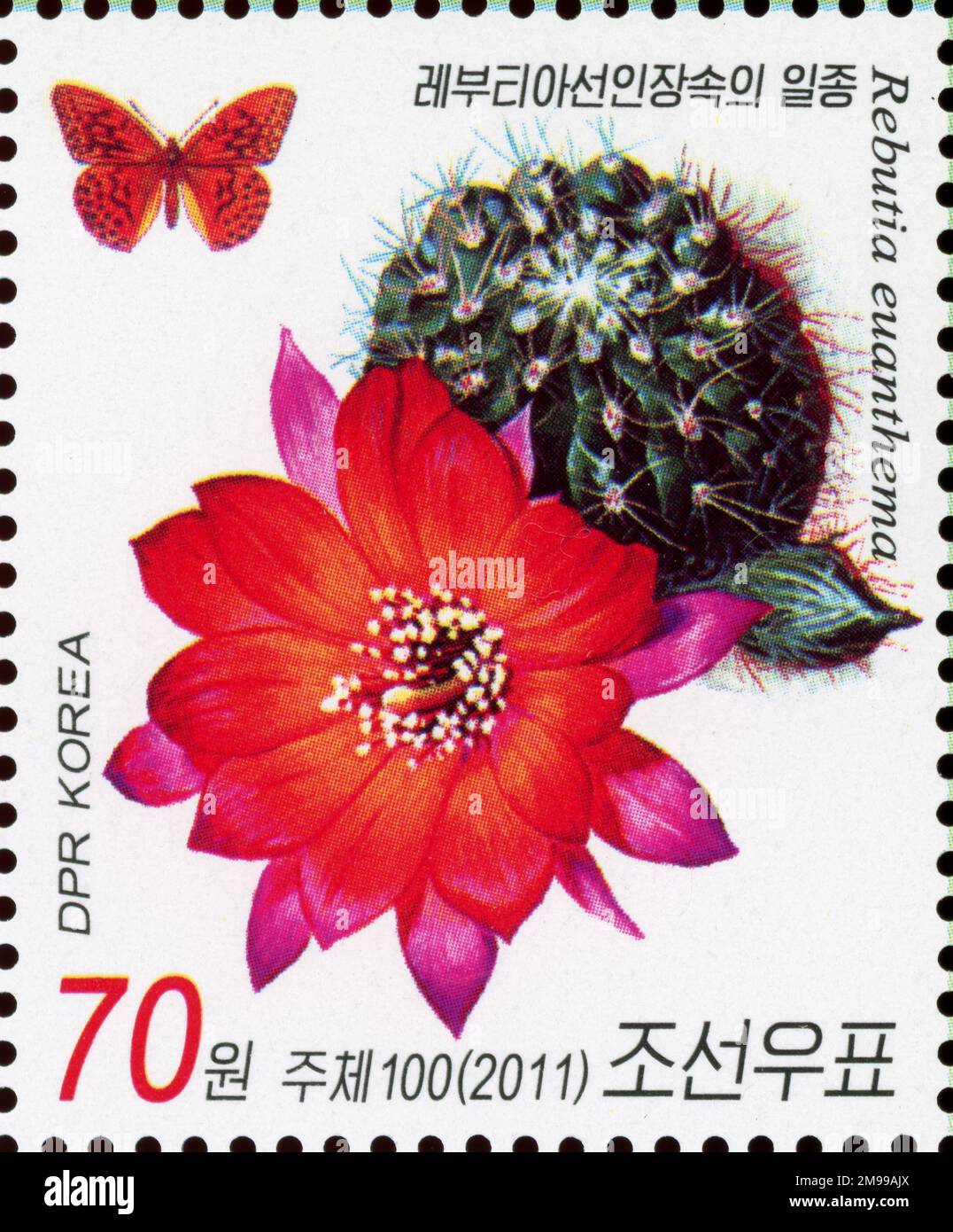 2011 North Korea stamp set. Flora - Cactus. Rebutia euanthema Stock Photo