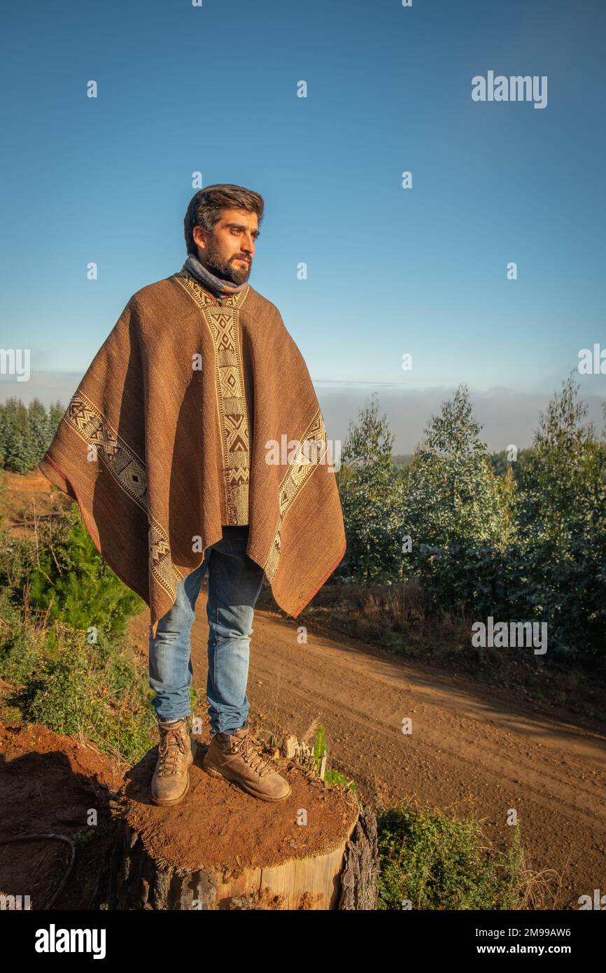 Chilean man looking out over Chilean forest wearing a brown chamanto watching the WRC Rally of Chile from atop a felled tree stump. Low sun, blue sky Stock Photo