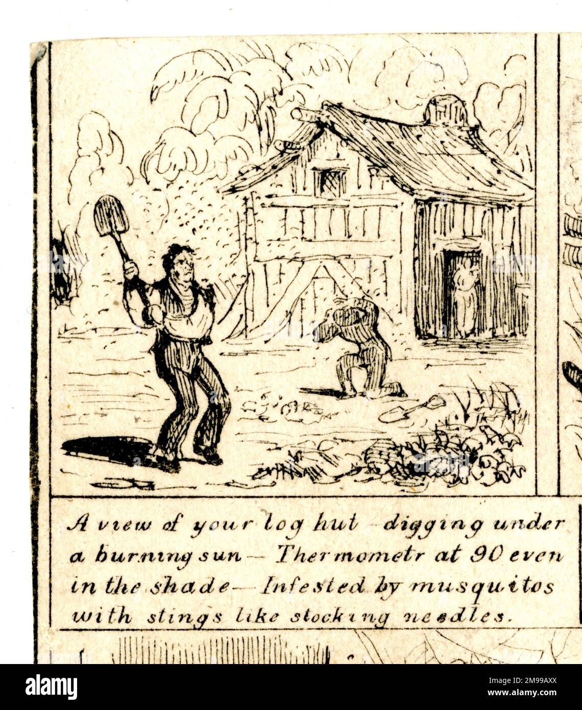 Emigration - Infested by Mosquitoes Stock Photo - Alamy