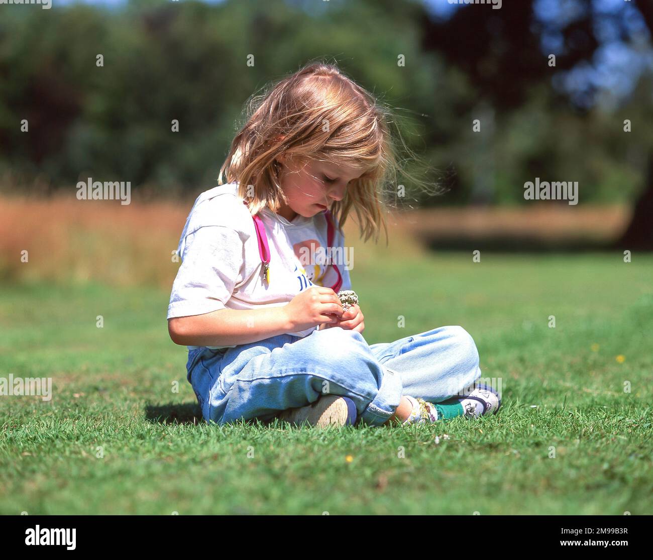 Young child making daisy chain in field, Winkfield, Berkshire, England, United Kingdom Stock Photo