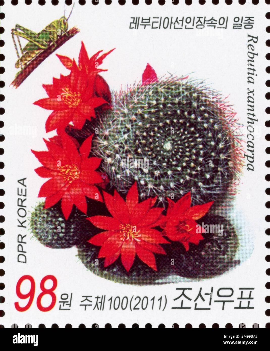 2011 North Korea stamp set. Flora - Cactus. Rebutia xanthocarpa Stock Photo