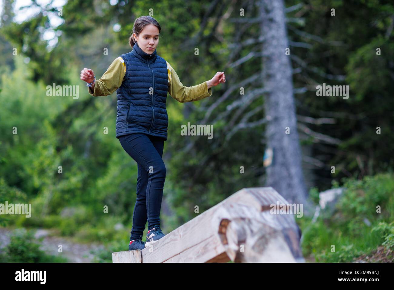 A young teenage girl in autumn warm clothes walks along an inclined log and passes a forest obstacle course for outdoor activities on a walk in a pine Stock Photo