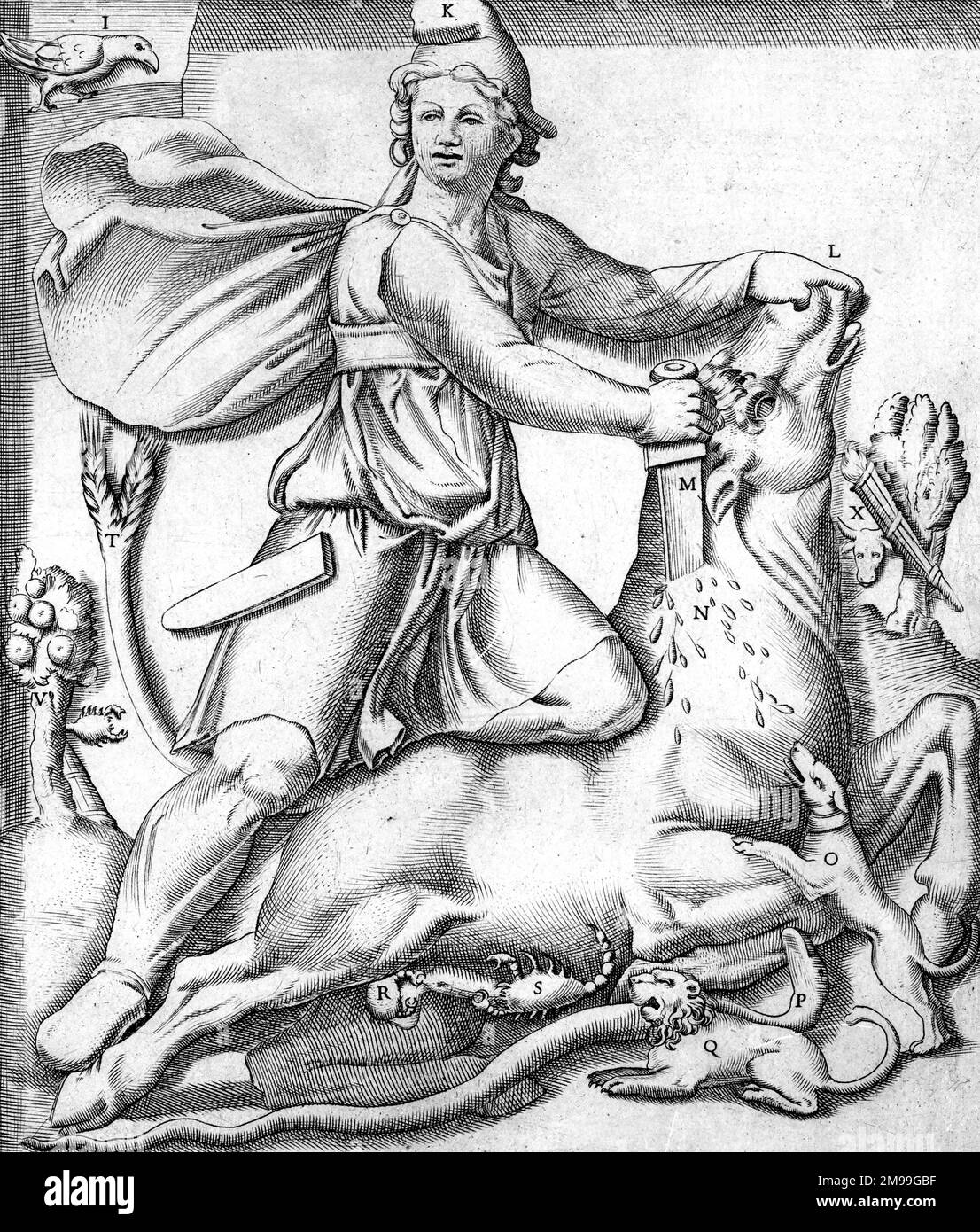 Mithras. A 1564 engraving of Mithras killing the sacred bull, representing Spring. Stock Photo
