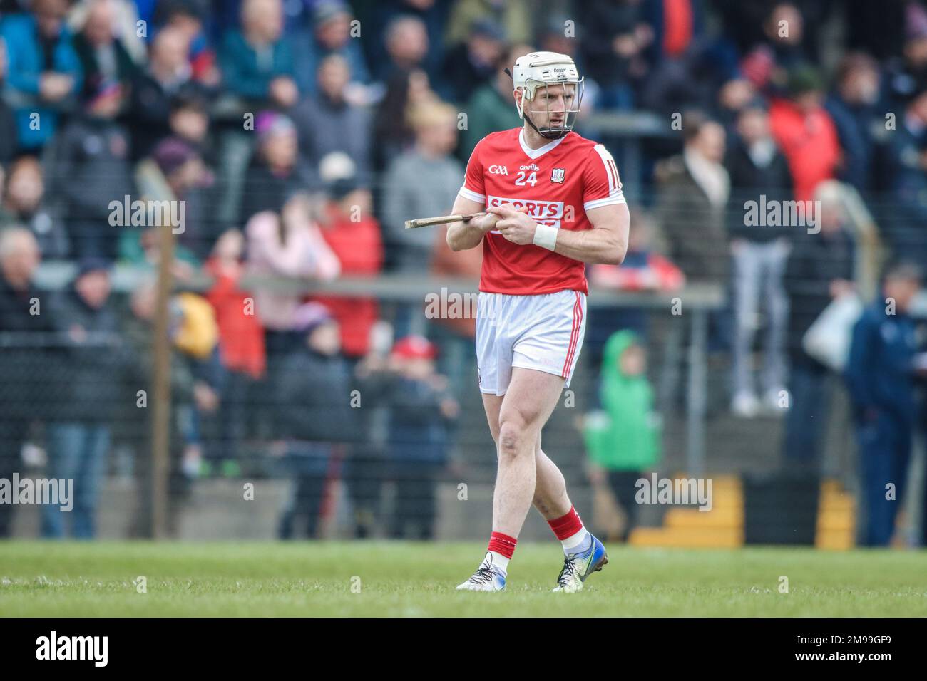 January 15th, 2023, Cork, Ireland Patrick at the Munster