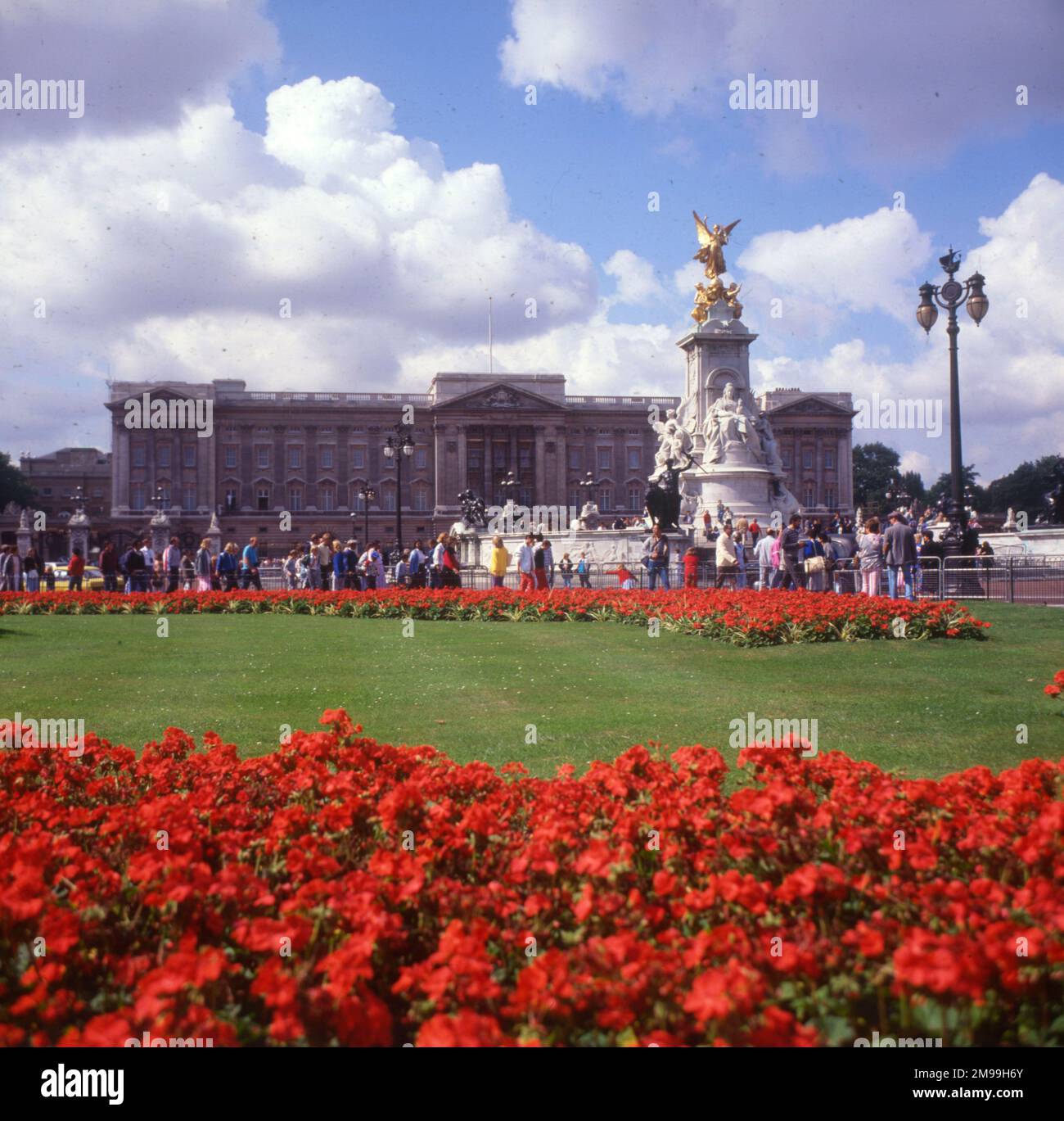My Image 24