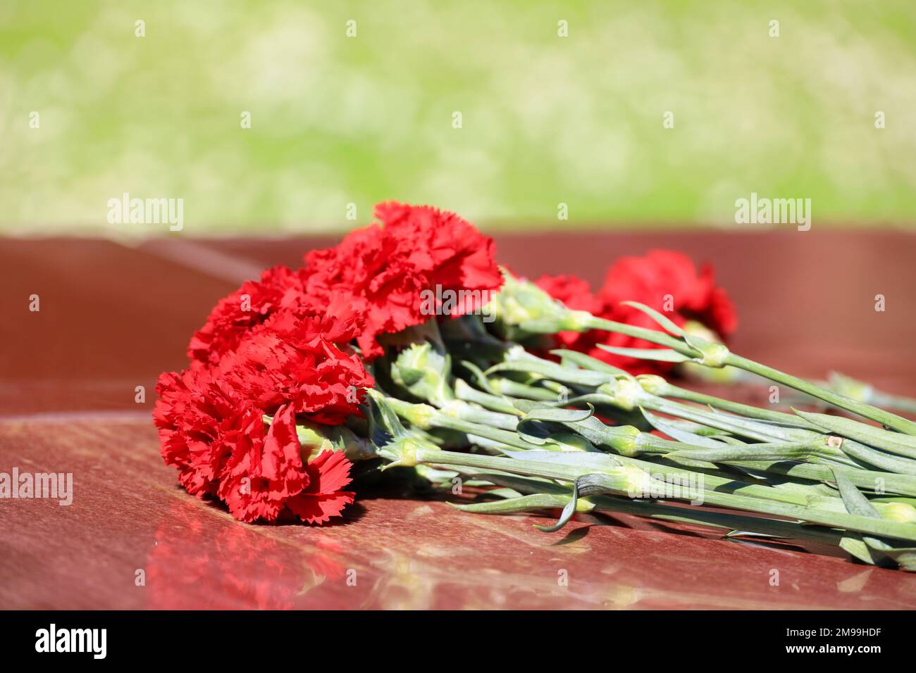 Red carnations on a stones. Flowers on a tomb memorial Stock Photo