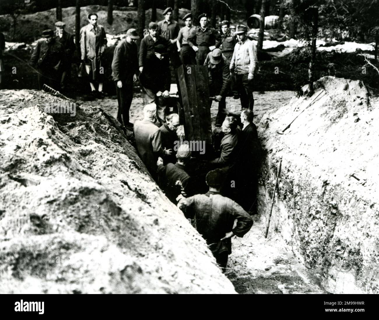 Luneburg, northern Germany, re-burying victims of Nazi atrocities, 3 October 1945. Local Nazi officials were rounded up and made to go to a wood two miles outside Luneburg, carrying the corpses of over 240 victims and giving them a decent burial. Stock Photo
