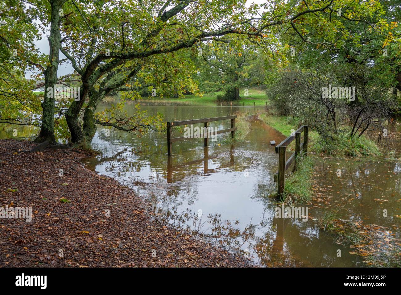 flooded bridge and footpath in the River Hamble country park Hampshire  England at high tide Stock Photo - Alamy