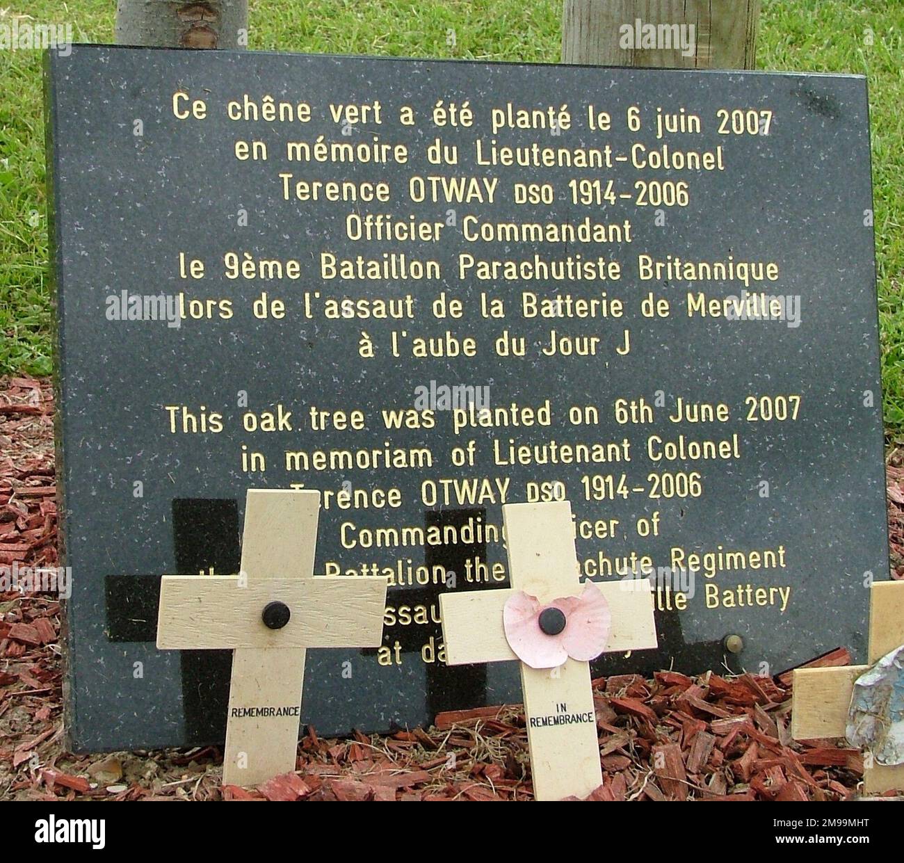 Terence Otway took Command of the 9th Parachute Battalion in April 1944 with the D-Day task of neutralising the Merville Battery and its guns. This memorial tree is with others around the parking area outside the battery entrance. He decided that the only way to train properly for the assault was to practice on a full scale model, and on a 45 acre site near Newbury he arranged for Royal Engineers to build one. It took seven days and nights to construct, including mock guns, their emplacements and anti-tank ditches. The site, at Walbury Hill, was given a Marker there in 1993. Stock Photo