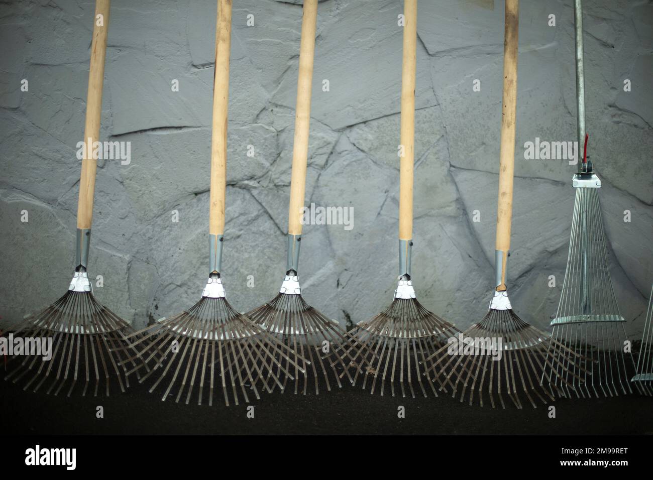 Rake in row. Garden tools on street. Rakes for harvesting leaves. Lots of tool. Stock Photo