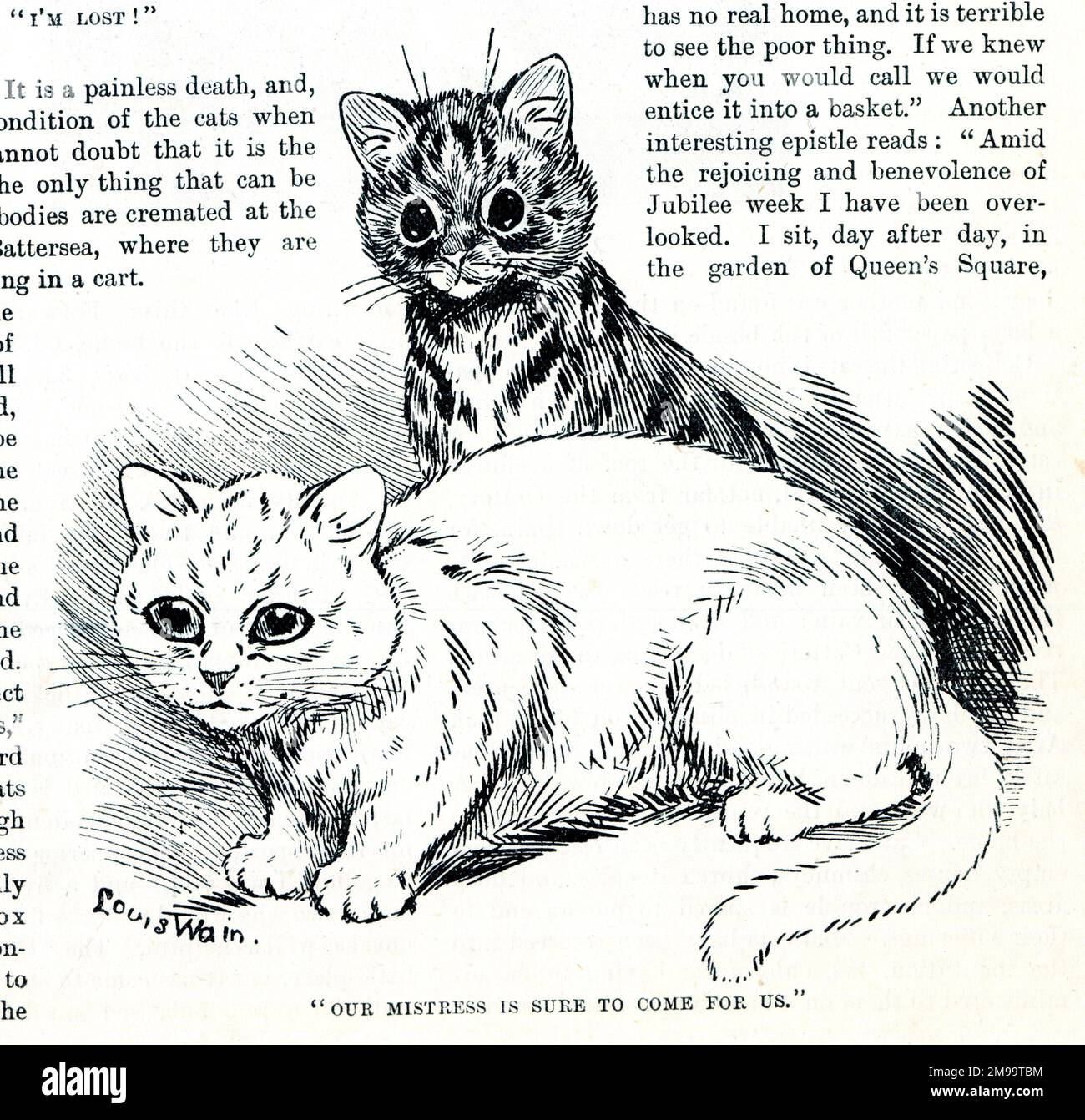 Louis wain cats our mistress is sure to come for us stock photo alamy