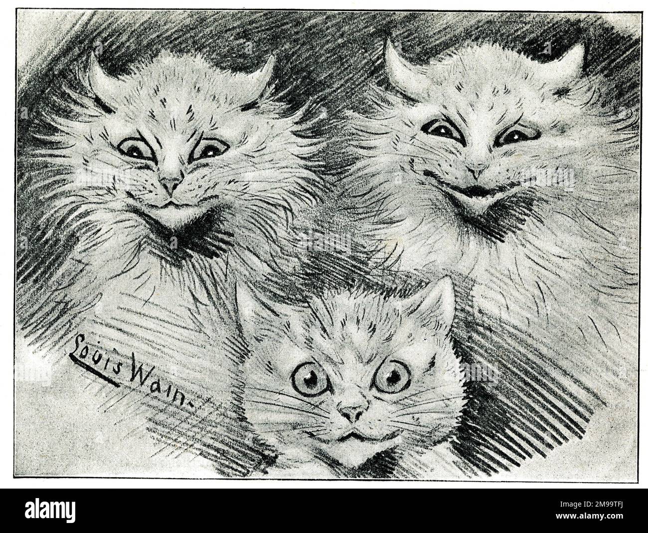 Trio of Cats - Mr Louis Wain at Home. Stock Photo