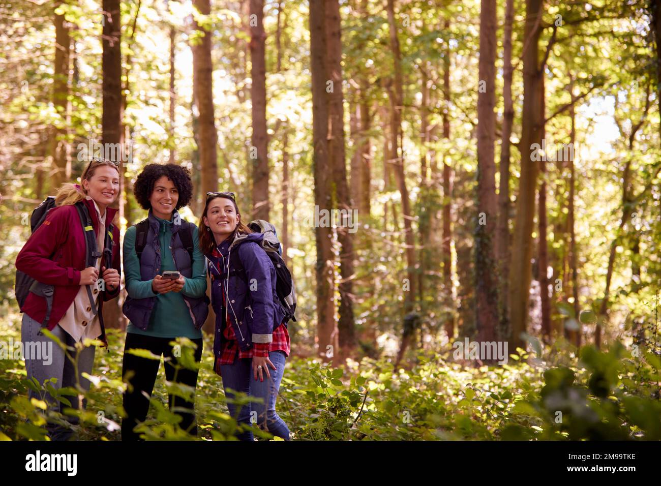 Female Friends With Mobile Phone On Holiday Hiking Through Woods Using GPS App To Navigate Stock Photo