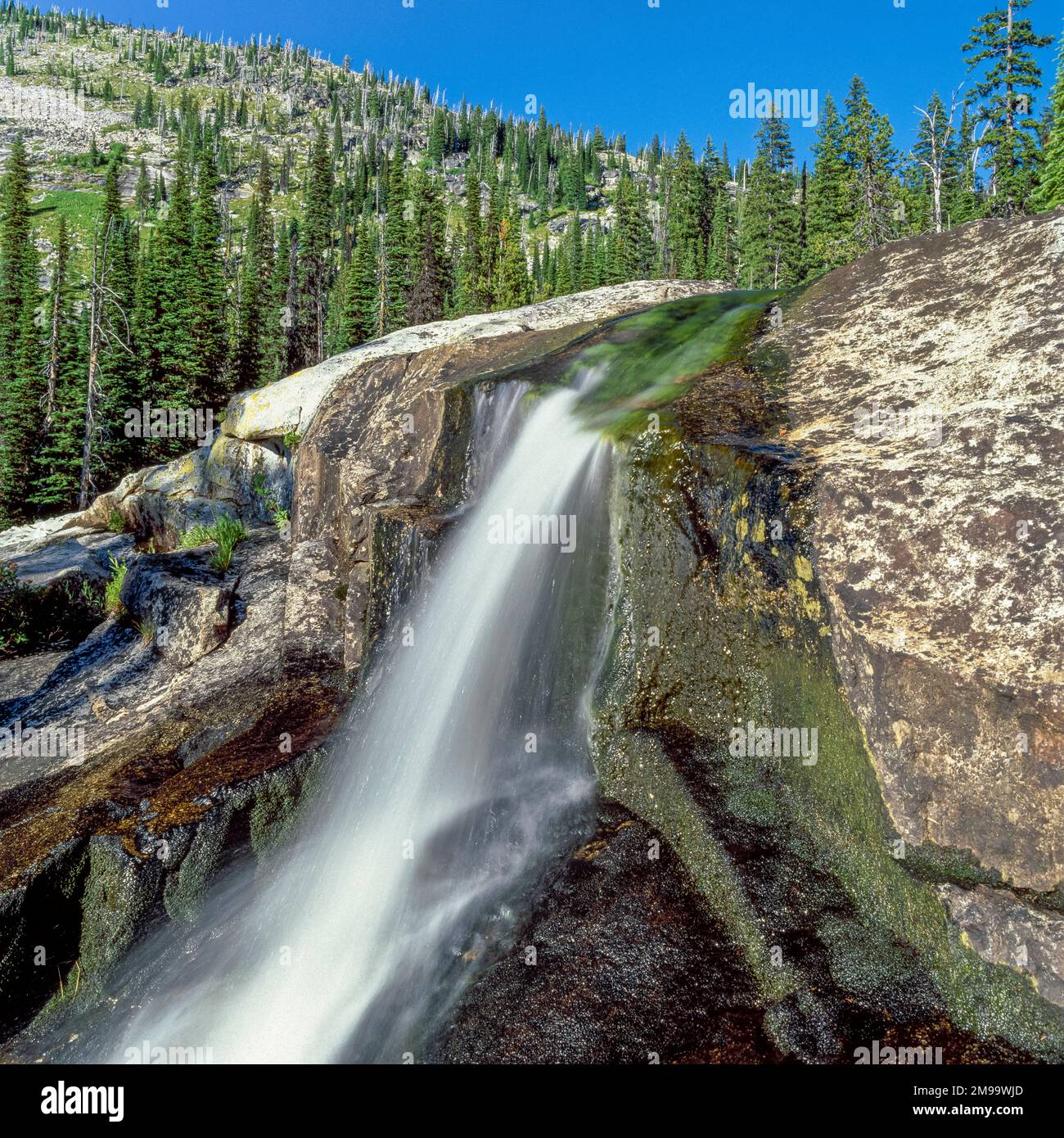 waterfall on upper bear creek in the selwaybitterroot wilderness