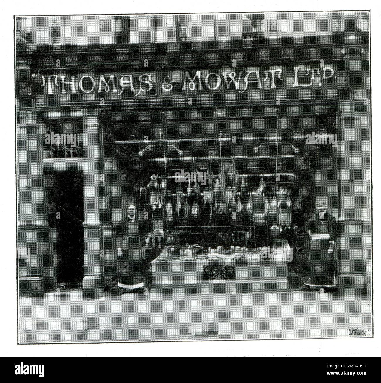 Shop Front, Thomas & Mowat, Fish and Poultry, High Street, Southampton. Stock Photo