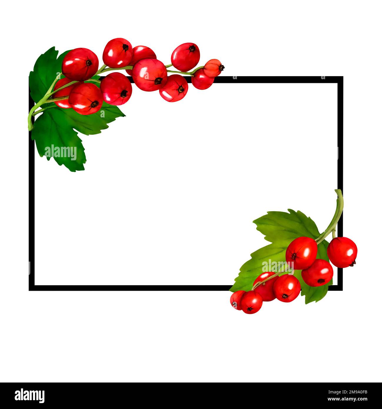 Watercolor frame of red ripe currant berries isolated on white ...