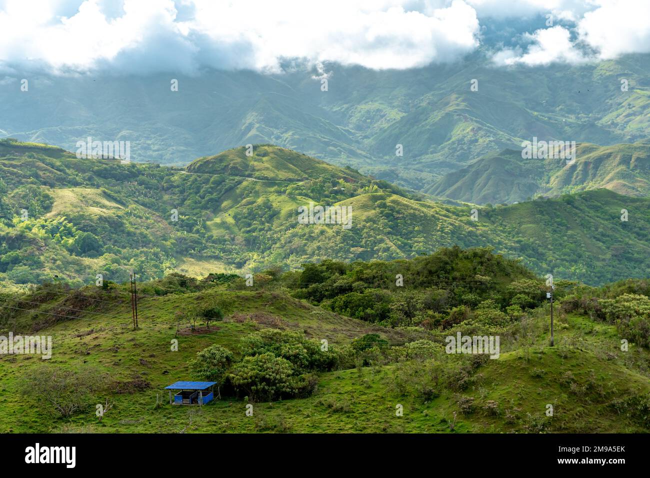 nature in the mountain landscape of Colombia Stock Photo - Alamy