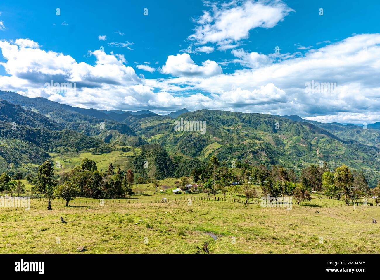 nature in the mountain landscape of Colombia Stock Photo - Alamy