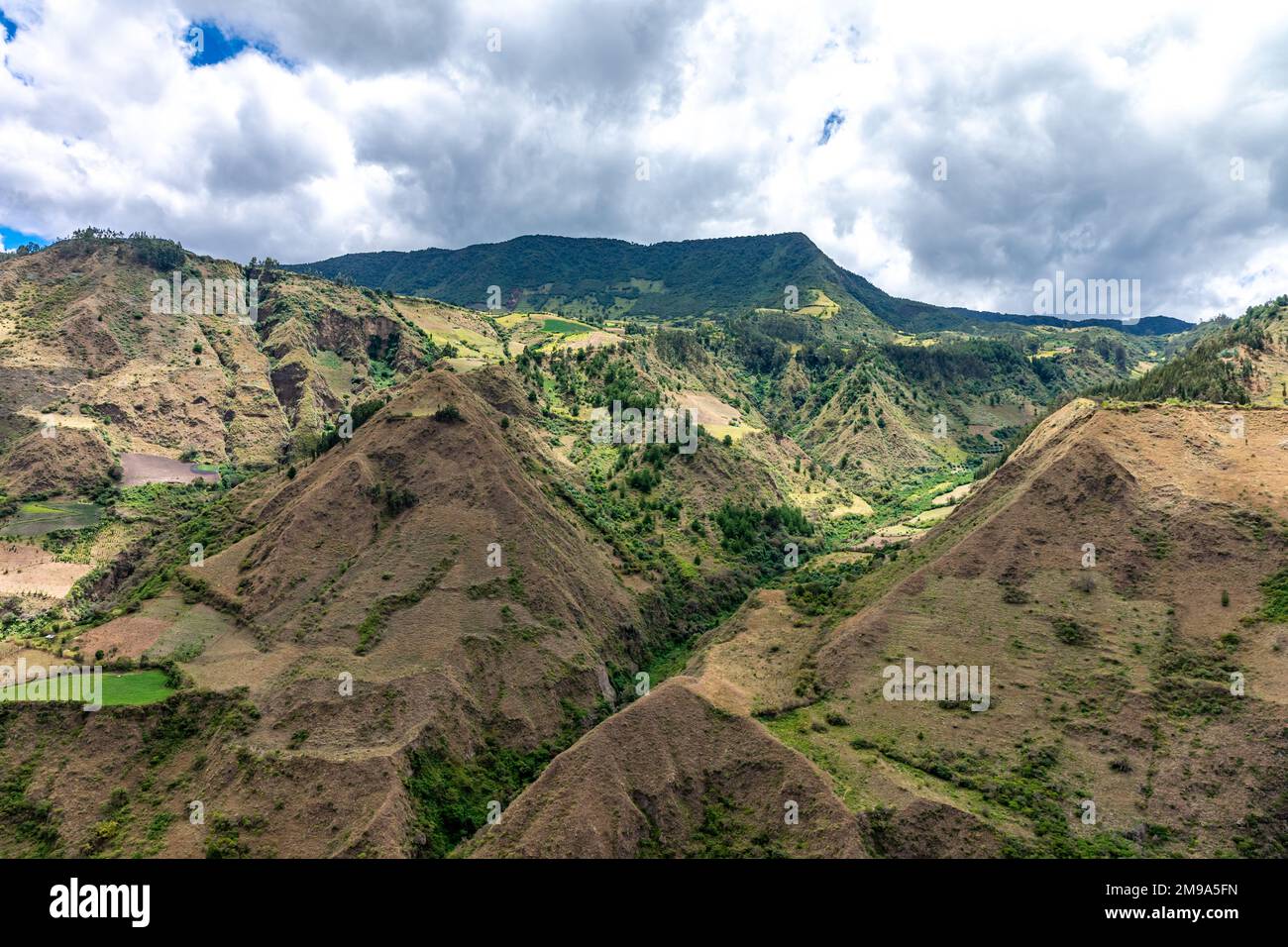 nature in the mountain landscape of Colombia Stock Photo - Alamy