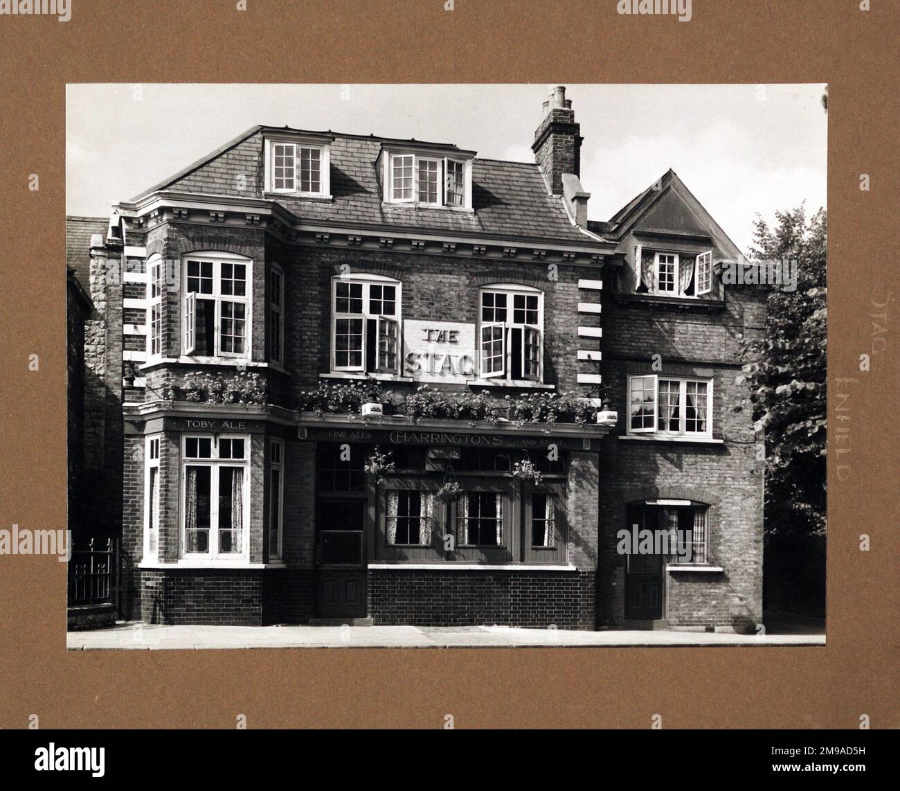 Photograph of Stag PH, Enfield, Greater London. The main side of the print (shown here) depicts: Face on view of the pub.  The back of the print (available on request) details: Nothing for the Stag, Enfield, Greater London EN2 6PH. As of July 2018 . Punch Taverns Stock Photo
