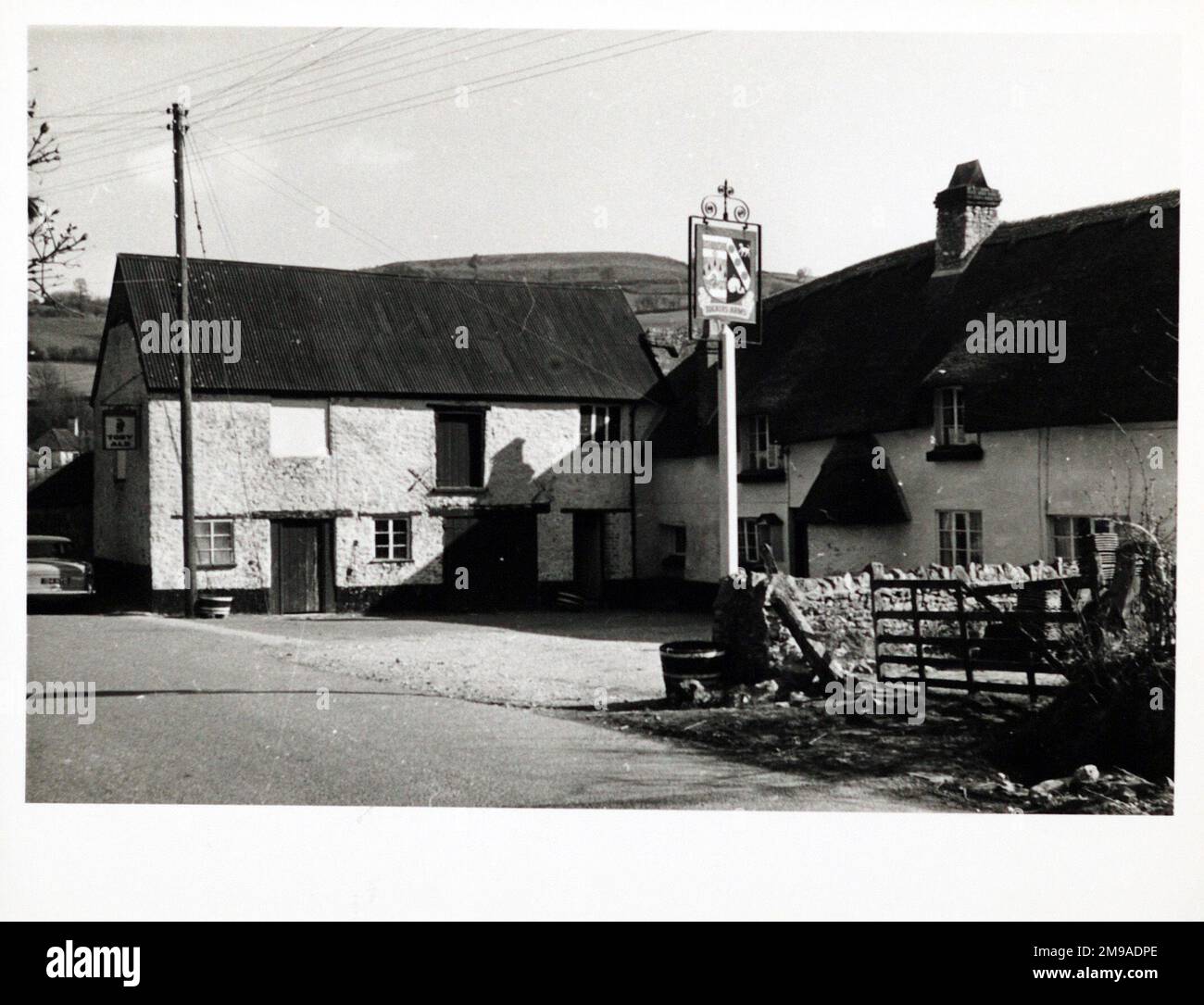 Photograph of Tuckers Arms, Axminster, Somerset. The main side of the print (shown here) depicts: Right face on view of the pub.  The back of the print (available on request) details: Publican ID for the Tuckers Arms, Axminster, Somerset EX13 7EG. As of July 2018 . Individually owned Stock Photo