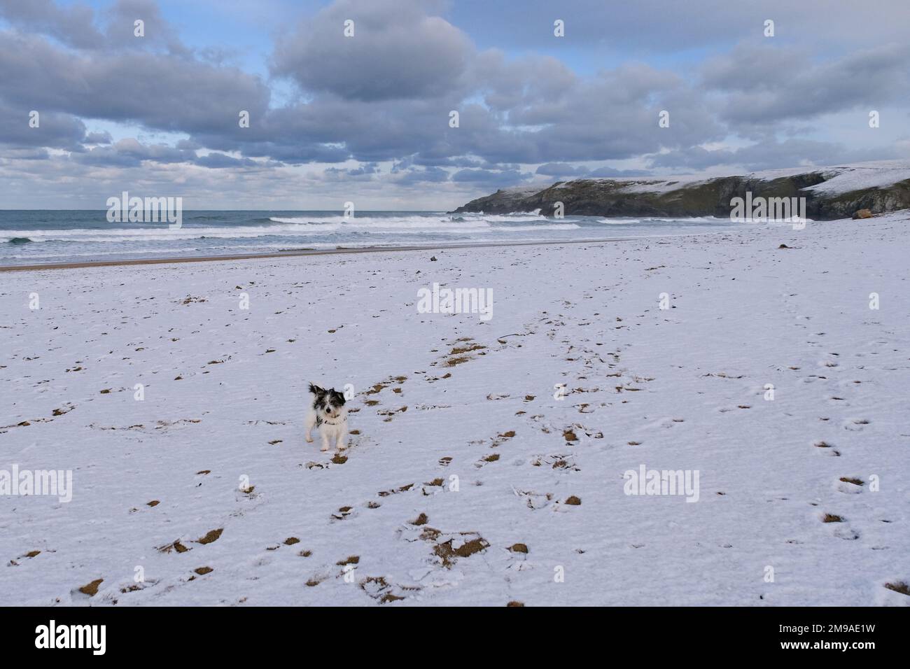 Holywell bay, Cornwall, UK. 17th Jan 2023. UK Weather..  Much of west Cornwall was hit by heavy snow overnight, resulting in snow on the beach at Holywell bay near Newquay today. Credit Simon Maycock / Alamy Live News. Stock Photo
