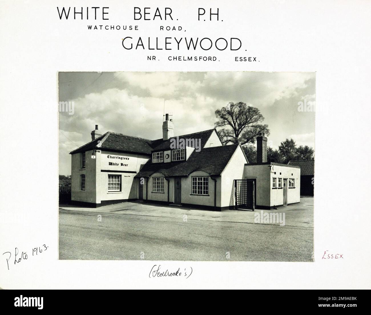 Photograph of White Bear PH, Galleywood, Essex. The main side of the print (shown here) depicts: Right face on view of the pub.  The back of the print (available on request) details: Trading Record 1940 . 1962 for the White Bear, Galleywood, Essex CM2 8NH. As of July 2018 . Punch Taverns Stock Photo