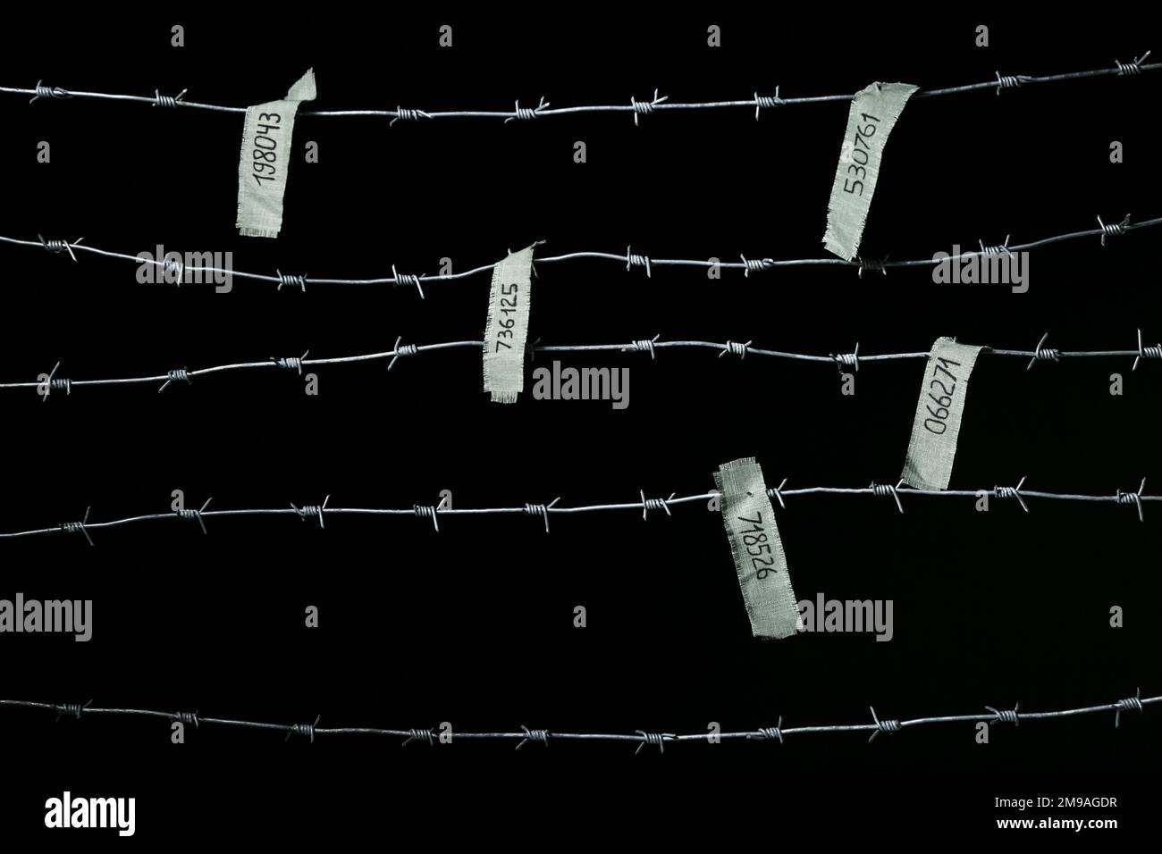 Barbed wire with prisoner numbers on dark background. International ...