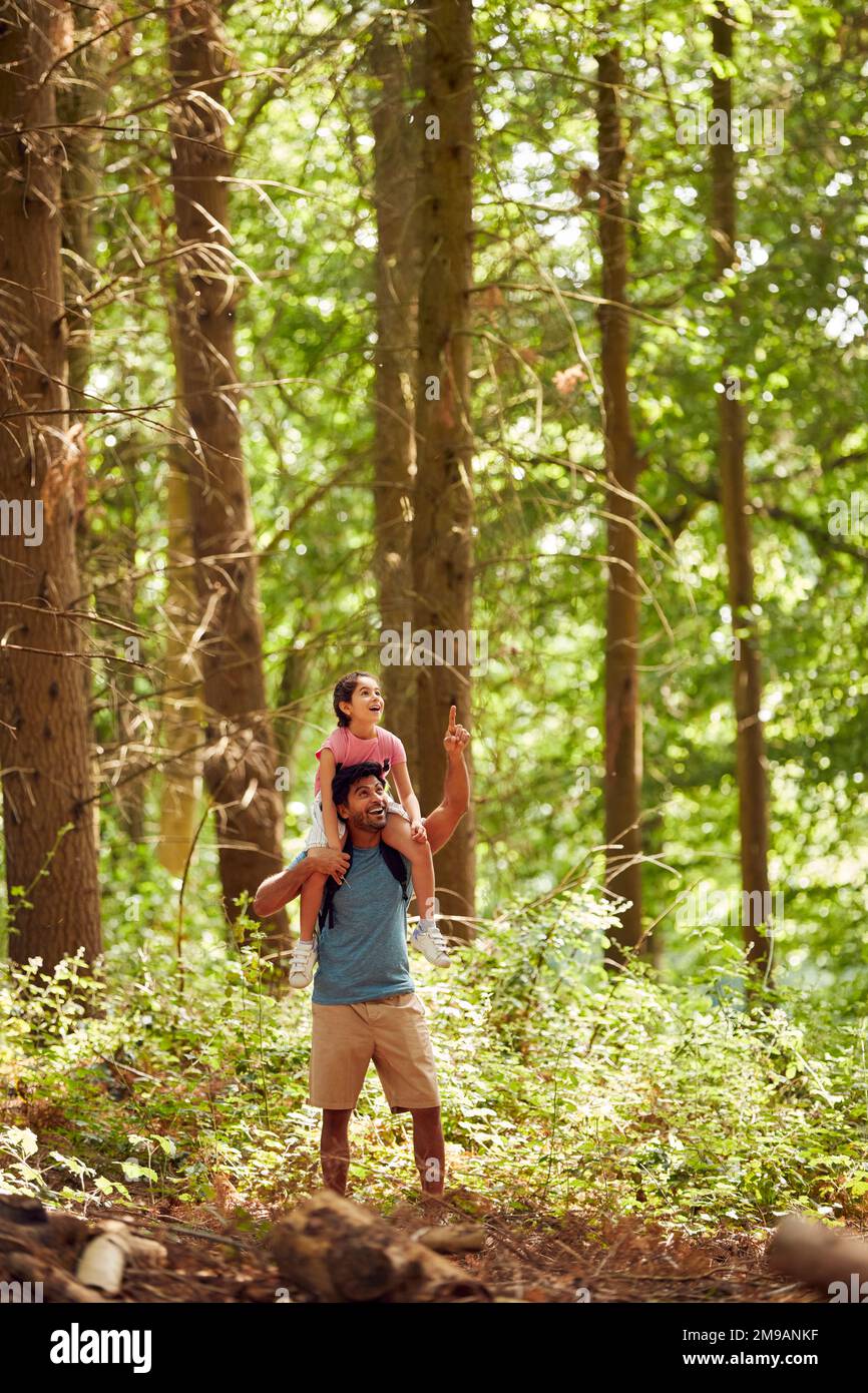 Father Carrying Daughter On Shoulders Hiking Or Walking Through Woodland Countryside Stock Photo