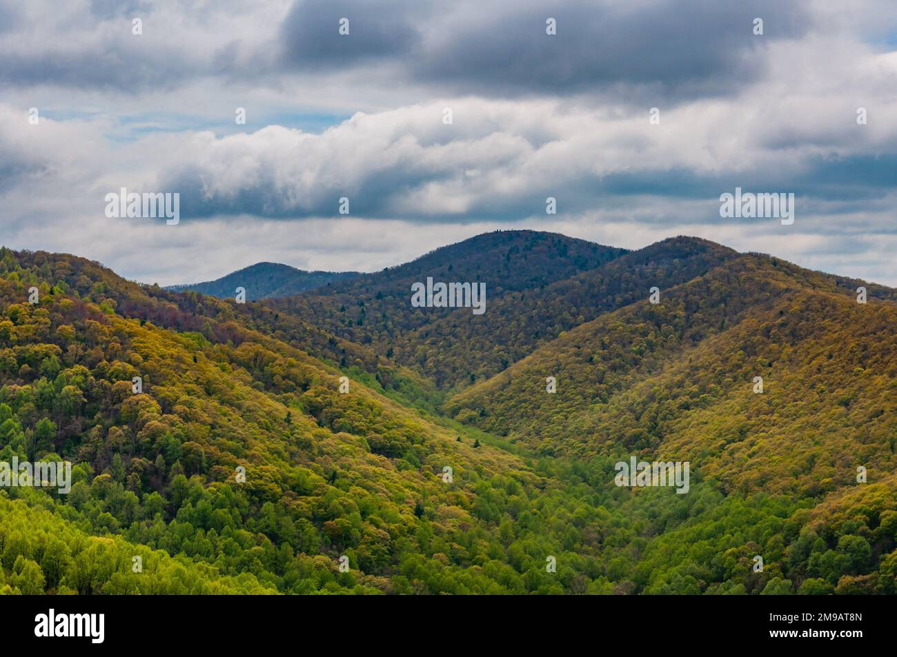 A Spring Shower in the Appalachians, Virginia USA, Virginia Stock Photo