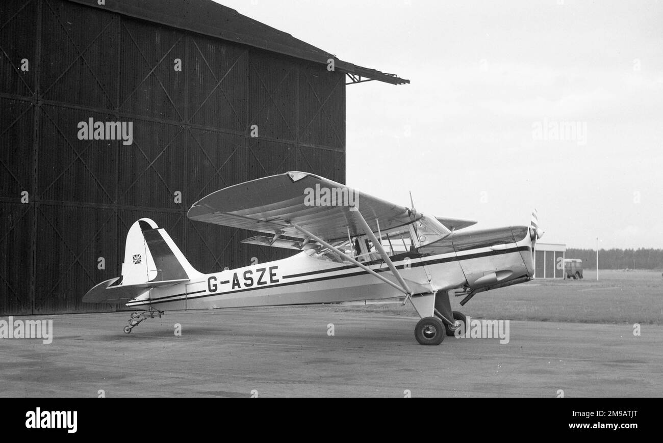 Ex terrier Black and White Stock Photos & Images - Alamy