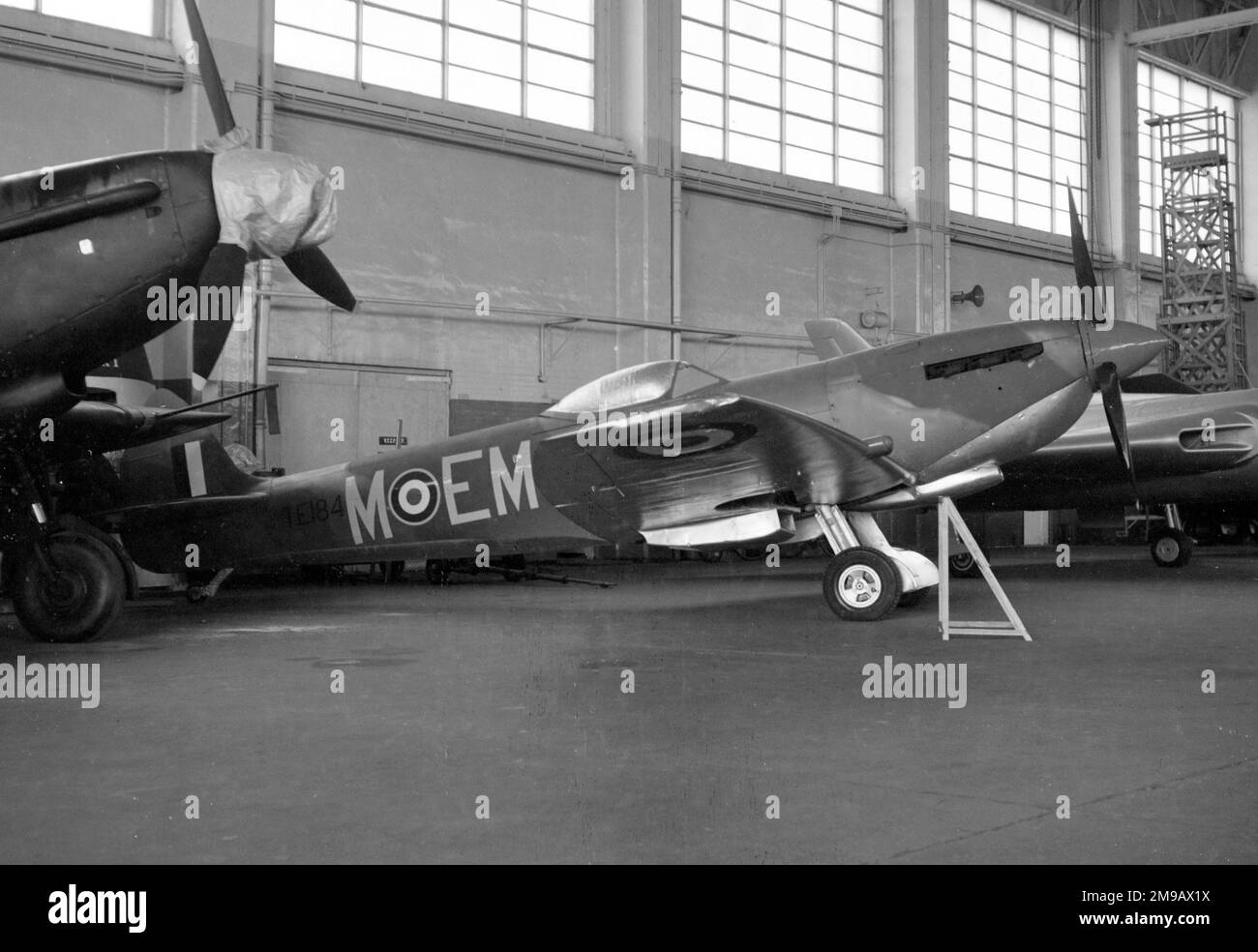 Supermarine Spitfire LF Mk.XVIE TE184 'M - EM', ex Royal Air Force, in the RAF Museum Reserve Collection at RAF Finningley, sandwiched between the sole surviving Boulton Paul Defiant, and an Avro 707. Stock Photo