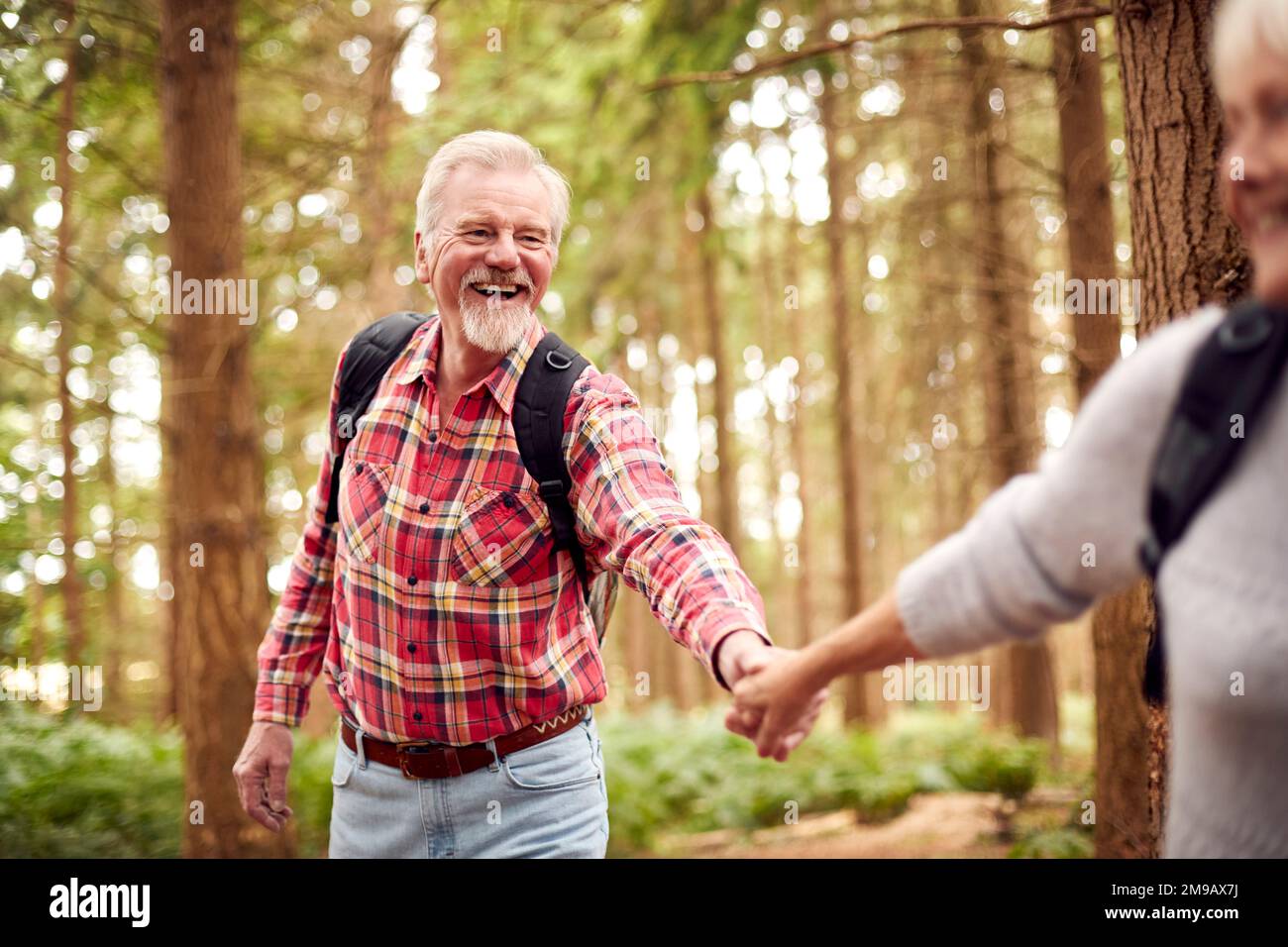 Close Up Of Loving Retired Senior Couple Holding Hands Hiking In Woodland Countryside Together Stock Photo