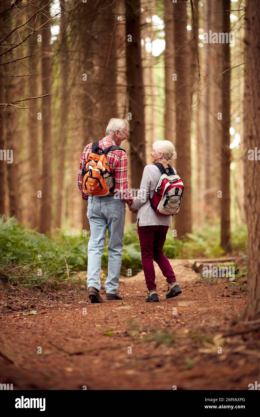 Rear View Of Loving Retired Senior Couple Holding Hands Hiking In Woodland Countryside Together Stock Photo