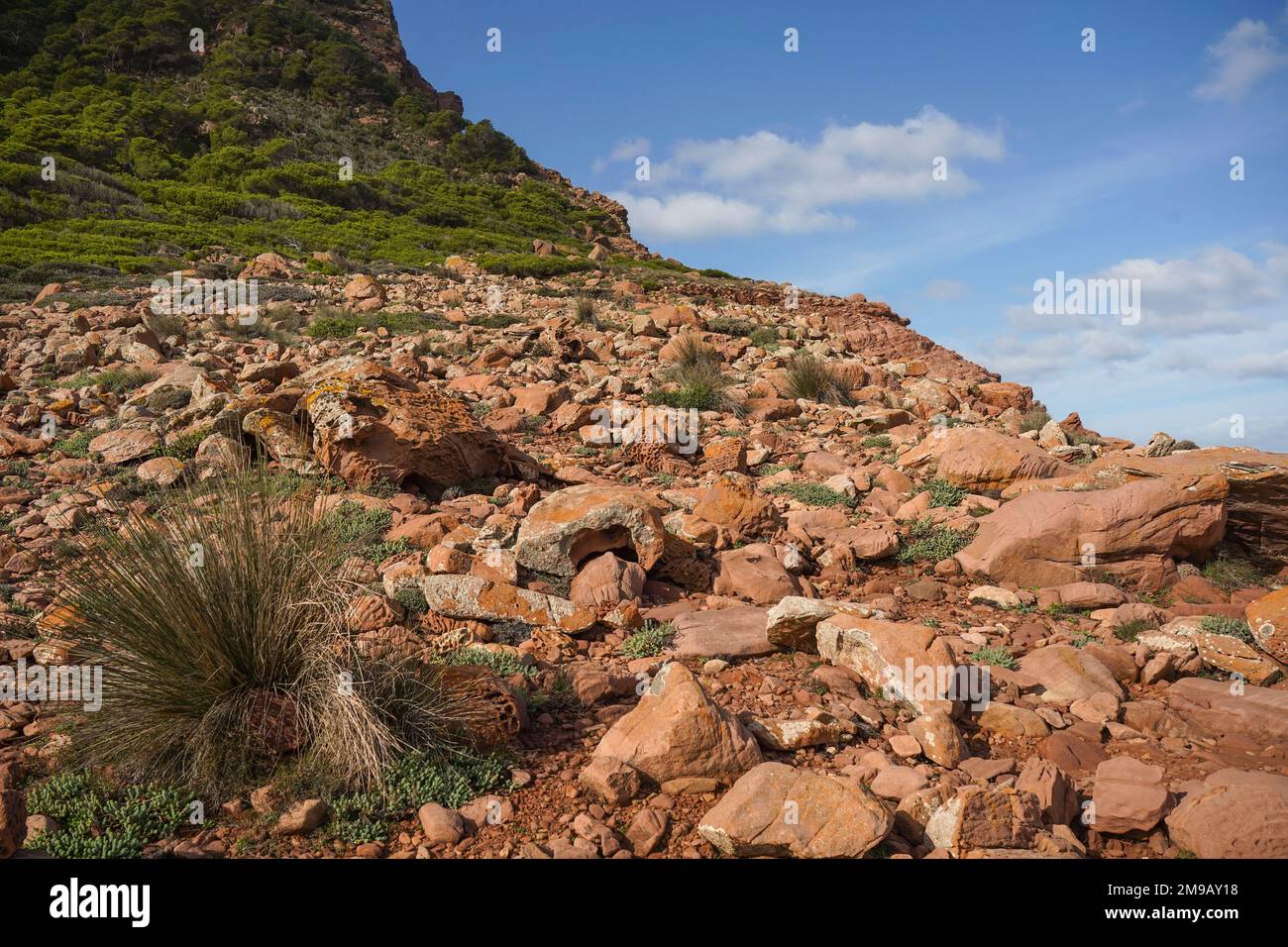 Cami de Valls, eroded stones, Macar d'alfurinet beach hiking trails of Menorca, GR 223, Algaiarens, Balearic islands, Spain. Stock Photo
