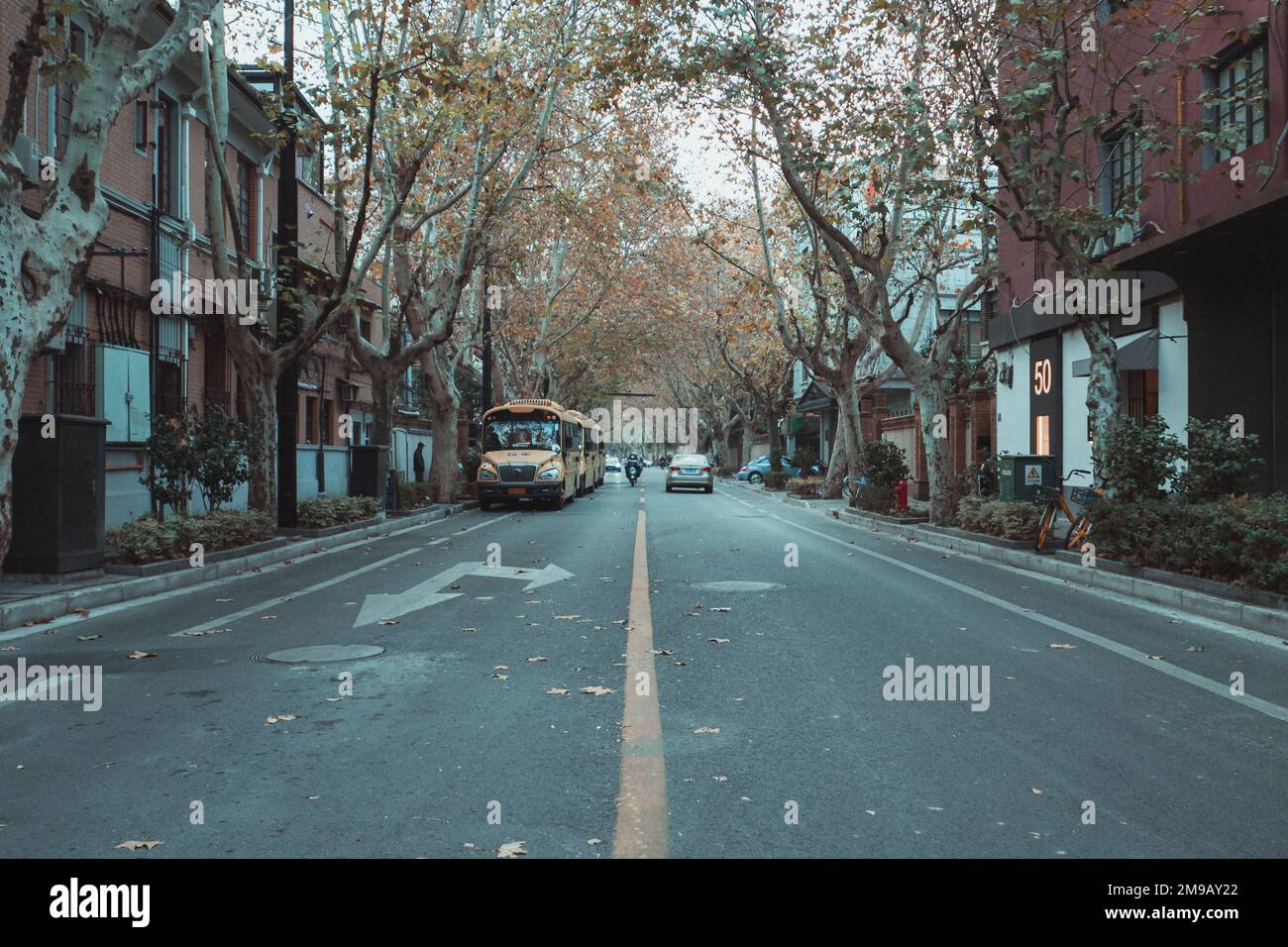 A quiet street in the Former French Concession of Shanghai Stock Photo