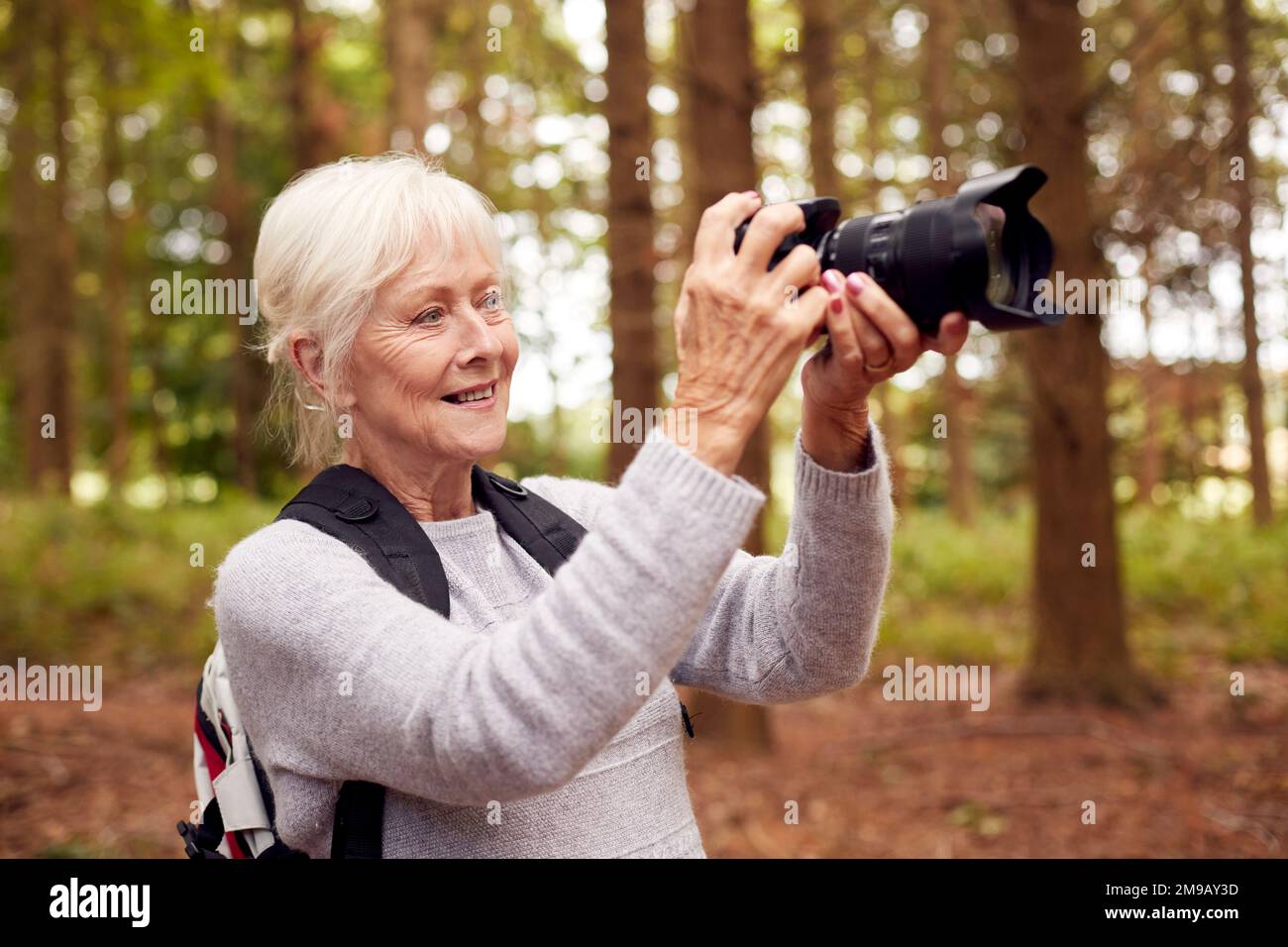 Retired Senior Woman Hiking In Woodland Countryside Taking Photo With DSLR Camera Stock Photo