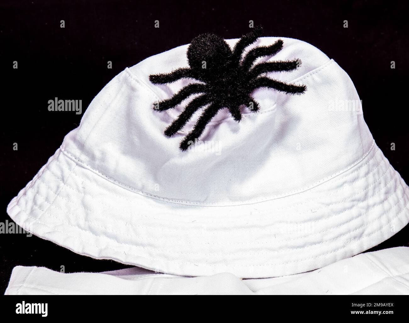 Fake Hairy Spider On White Bucket Hat Stock Photo Alamy